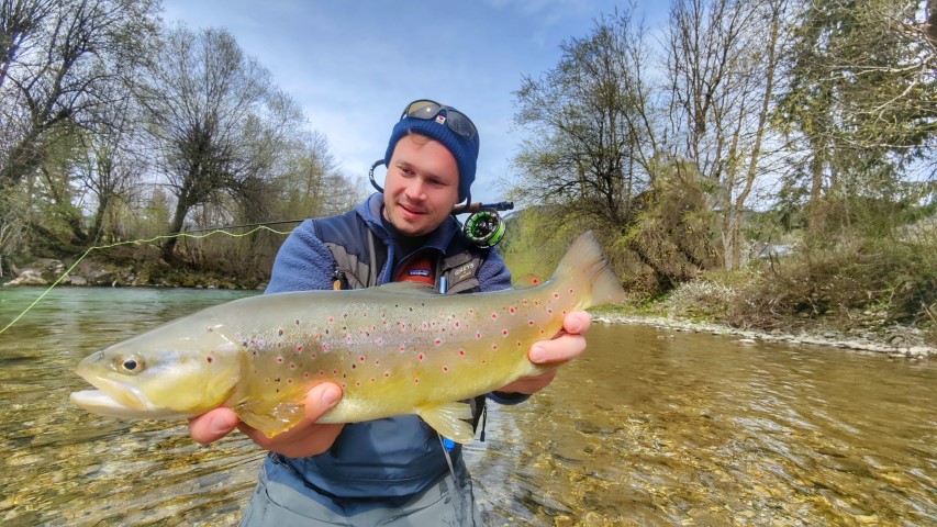 Good Brown trout.